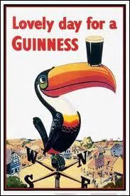 Surprenant toucan pour illustrer une publicit d'une bire ... . .