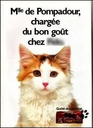 Campagne publicitaire pour les chats et par les chats chez ... .
