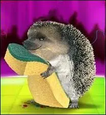 Souvenez-vous ! Ernie, l'adorable petit hrisson de chez ... .