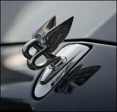 A quelle firme automobile appartient ce logo aux ailes stylises ?