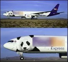 Coup de pub magistral pour cette socit de transports ariens avec le transfert de 2 pandas entre la Chine et la France ... .