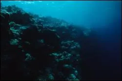  combien de mtres descend-elle ?