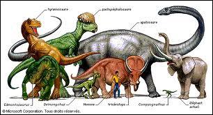 Parmi ces animaux , lesquels sont les descendants des dinosaures ?