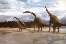 Le brachiosaure est l'un des plus grands dinosaures connus . Il mesurait 10 mtres de haut . Selon vous que mangeait-il ?