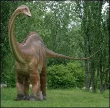 Lequel de ces reptiles ne fait pas partie de l'ordre des dinosauriens ?