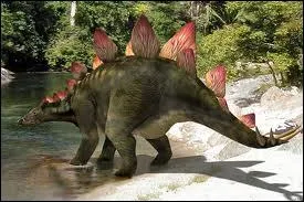 Le stgosaure tait un dinosaure herbivore haut de plus de 3 mtres . Qu'avait-il sur le dos ?