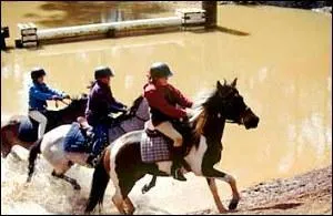 Les filles montent quels chevaux sur la photo ?