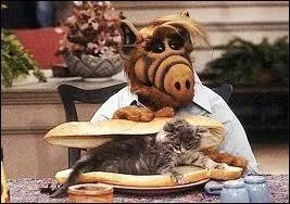 Combien d'estomacs Alf a-t-il ?