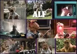 Qui est le ralisateur de la srie ?