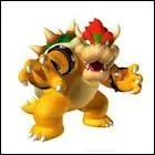 Pourquoi Bowser enlève-t-il la princesse Peach ?