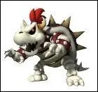 Dans quel château Bowser devient-il Bowser Skelet ?