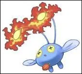 Quels sont les types de Loupio ?