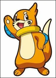 Quelle est l'volution de Mustbou ?