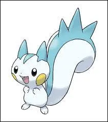 Pachirisu a-t-il une volution ?
