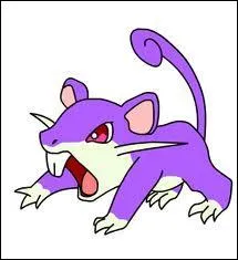 Dans quelle version retrouve-t-on Rattata ?