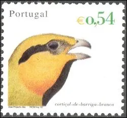 Quel est cet oiseau typique des pays chauds visible sur ce timbre du Portugal ?