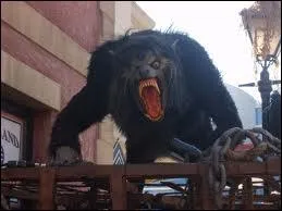 Quel est le titre de ce film de 1981 ?