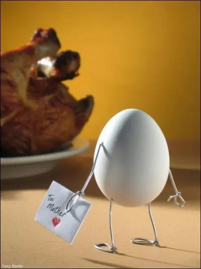 De ces trois animaux, l'un ne pond pas d'oeufs, lequel ?