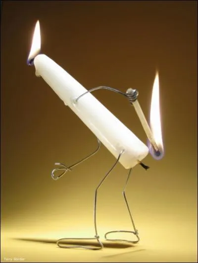 L'un des trois est le meilleur sauteur, par rapport  sa taille !