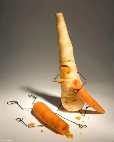 De ces trois animaux, quel insecte peut ventuellement dvorer le mle pendant ou aprs l'accouplement ?