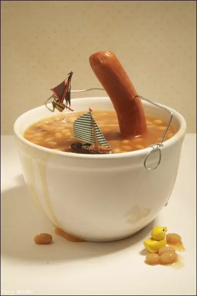 Quel animal marin a deux pnis ?