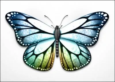 Entre 1990 et 2005 en France, les effectifs de papillons en prairie ont t rduits de...