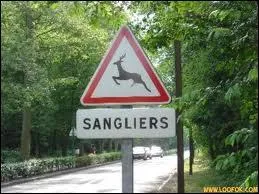 Quelle est la bonne orthographe ?