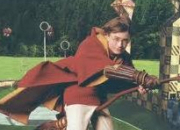 Quiz Poudlard, grand amateur de quidditch