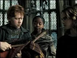 Pendant quel match le Nimbus 2000 de Harry se fracasse -t-il contre 'le Saule cogneur', en 3me anne ?