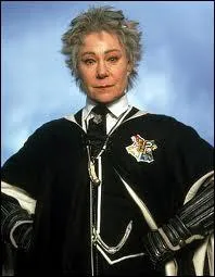 Enfin grce  qui nos petits sorciers peuvent monter sur leur balais pour faire une partie de quidditch ?