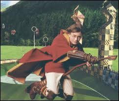 En rattrapant quel objet devant le professeur McGonagall, Harry entre-t-il dans l'quipe de Gryffondor ?