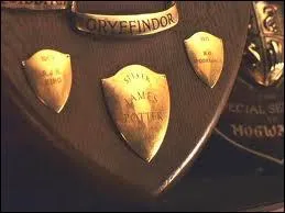 James Potter a-t-il fait partie de l'quipe de sa maison ? Si oui  quel poste ?