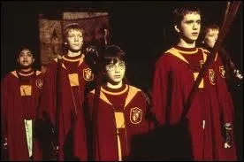 Quel match Harry manque-t-il en 1re anne  cause de son sjour  l'infirmerie aprs avoir arrt Quirrell et Voldemort ?