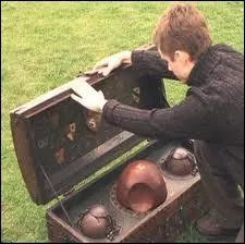 Qui apprend  Harry  jouer au quidditch ?