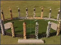 Avec quel score le 1er match d'Harry est-t-il remport ?