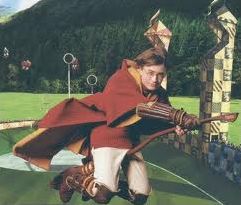 Quiz Harry potter