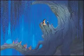 Comment se nomme l'arbre savant dans  Pocahontas  ?