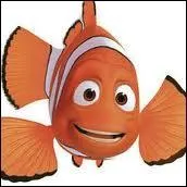 Savez-vous comment se nomme le pre de Nemo dans   Le Monde de Nemo  ?