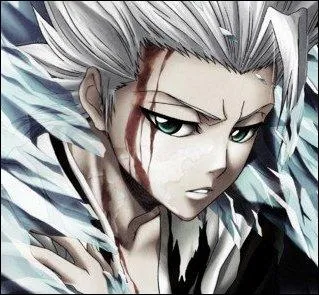 Contre combien d'arrancars Hitsugaya Tshiro a-t-il combattu ?
