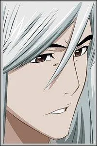 Qui parvient  blesser gravement Ukitake Jushiro lors de la bataille de la fausse Karakura ?