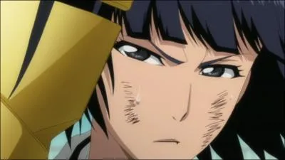 Habituellement, Soi Fon peut utiliser Jakuho Raikoben...