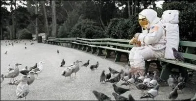 Le garagiste, lui a ramen sa voiture au boulot, c'est sympa, avant de rentrer chez lui, Neil dcide d'aller parler de son exprience aux mouettes et aux...