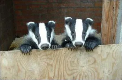 Il vous passe un savon, mais il vous fait mousser !