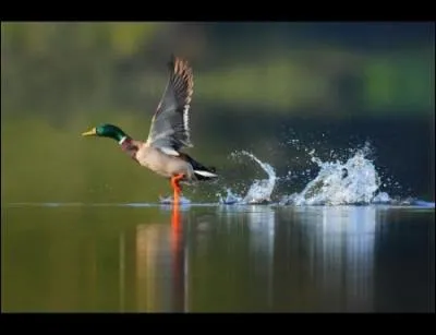 Il ne faut pas prendre les enfants du bon dieu pour ...