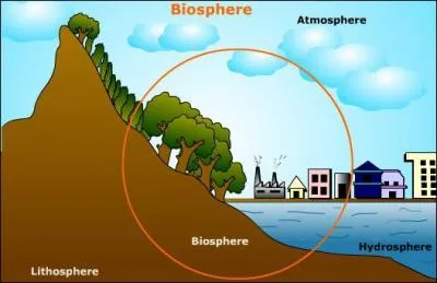 Qu'est-ce qui pourrait dfinir le mot  biosphre  ?