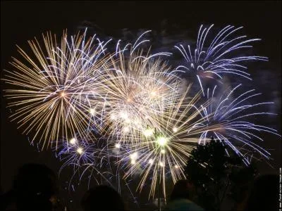 Quel est l'lment du sel responsable de la couleur mise lorsqu'il est chauff, comme dans les feux d'artifice ?