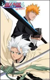 Pendant cette rencontre, est-ce qu'Ichigo comprend les sentiments de Toshiro ?