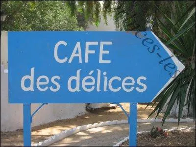 Quel artiste a,  son rpertoire, une chanson intitule  Au caf des dlices  ?