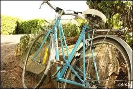 Qui a incarn� dans la t�l�film ' La bicyclette bleue, l'h�ro�ne L�a Delmas ?