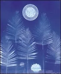 Qui a peint Fort Wald ?